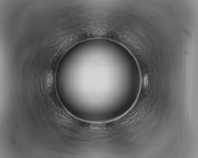 X0000113531299200909181126