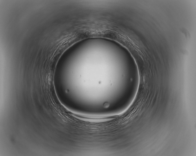 X0000113531300200909181126
