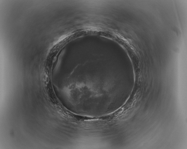 X0000113531303200909181126