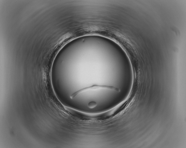 X0000113531305200909181126