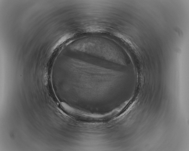 X0000113531306200909181126