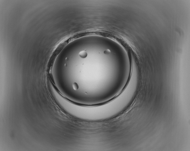 X0000113531308200909181126