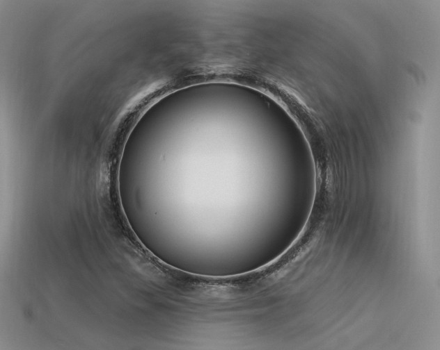 X0000113531309200909181126