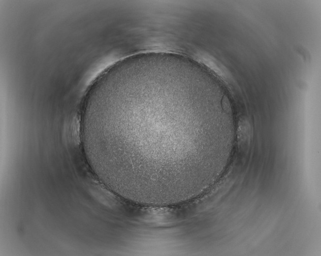 X0000113531310200909181126