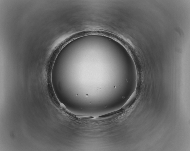 X0000113531311200909181126