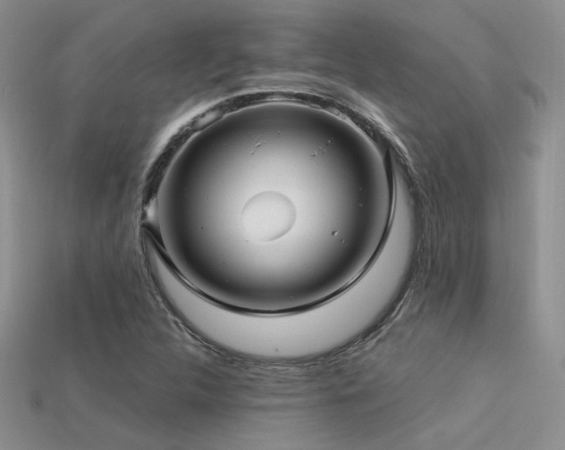 X0000113531312200909181126