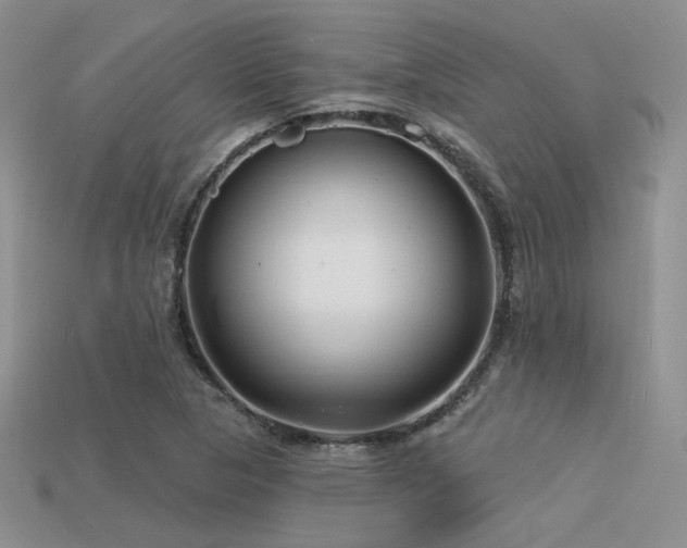X0000113531313200909181126