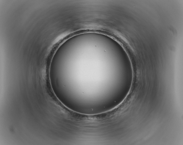 X0000113531315200909181127