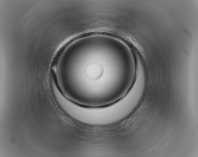 X0000113531316200909181127
