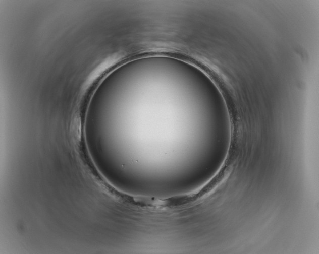 X0000113531317200909181127