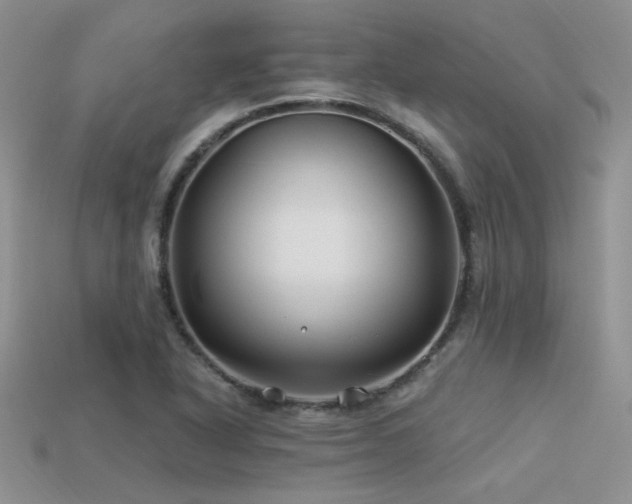 X0000113531318200909181127