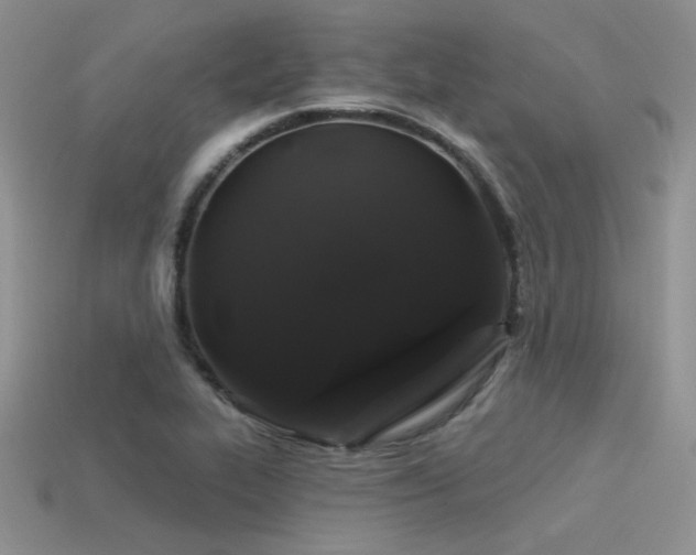 X0000113531319200909181127