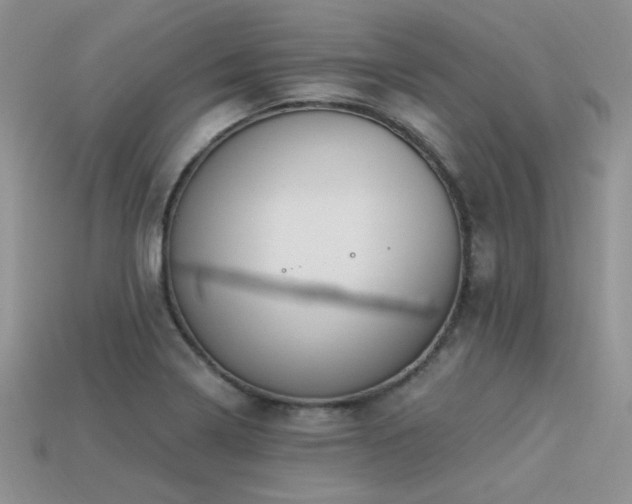 X0000113531322200909181127