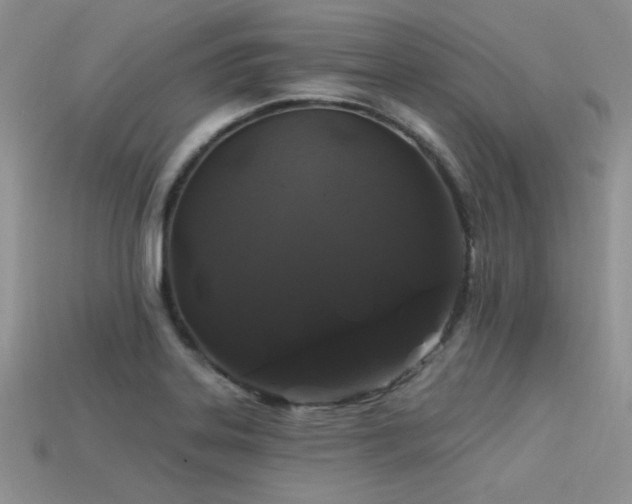 X0000113531323200909181127