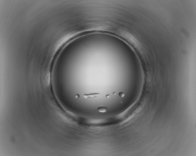 X0000113531324200909181127