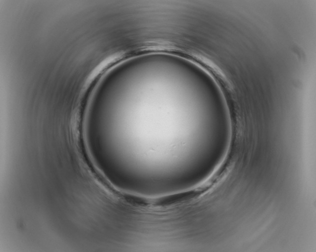 X0000113531325200909181127