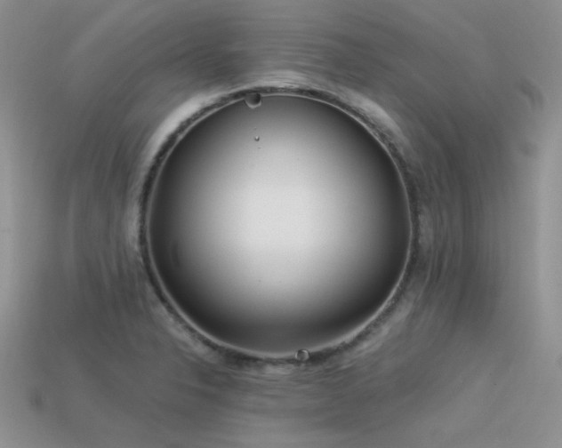 X0000113531326200909181127