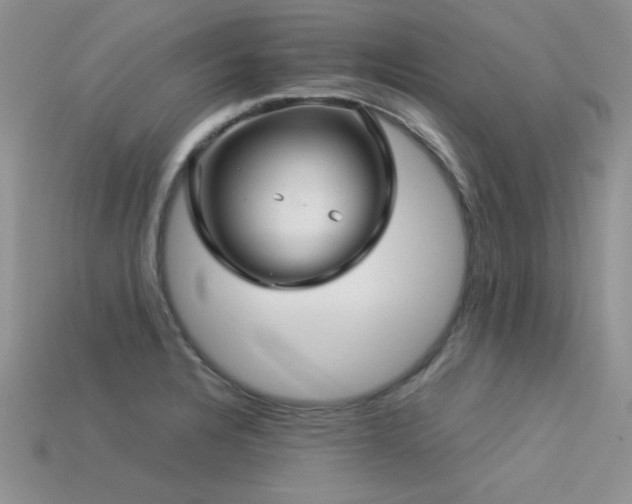 X0000113531328200909181127