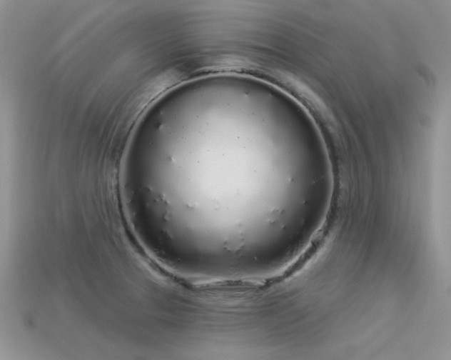 X0000113531329200909181127