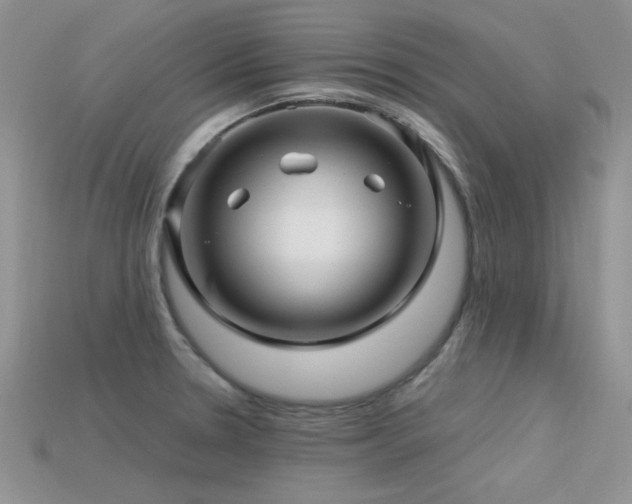 X0000113531330200909181127