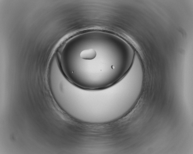 X0000113531332200909181127