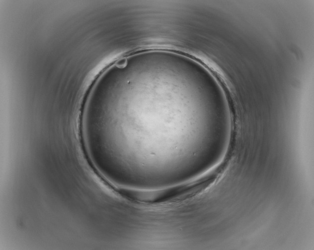 X0000113531333200909181127