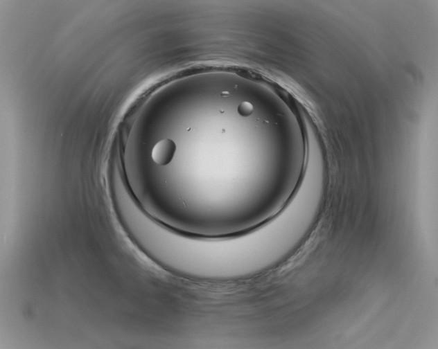 X0000113531334200909181127