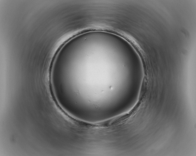 X0000113531335200909181127