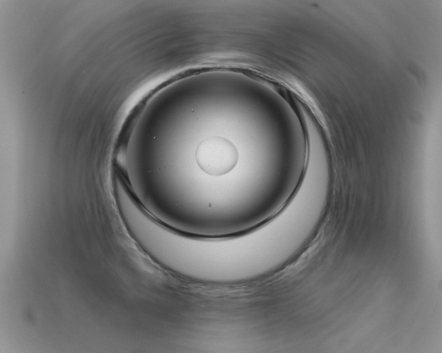 X0000113531336200909181127