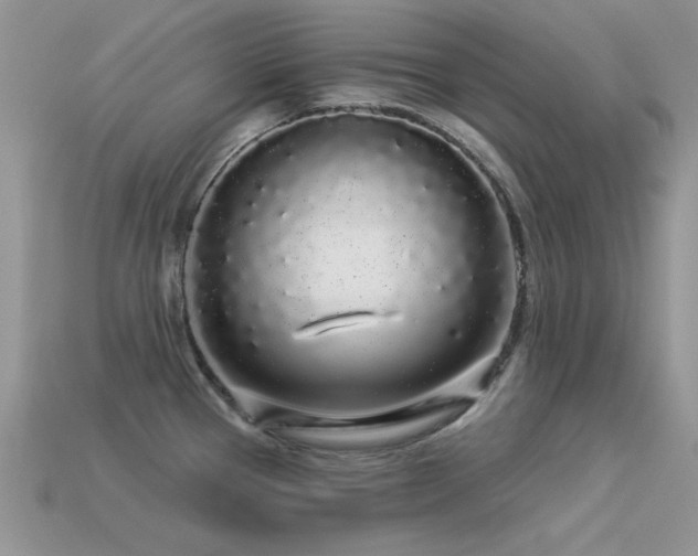 X0000113531337200909181127