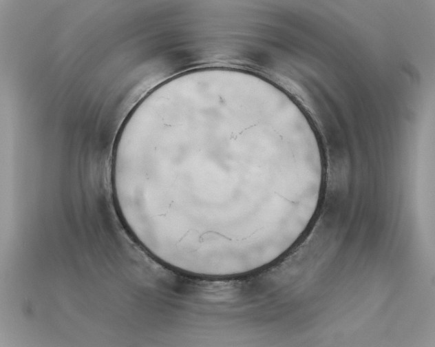X0000113531338200909181127