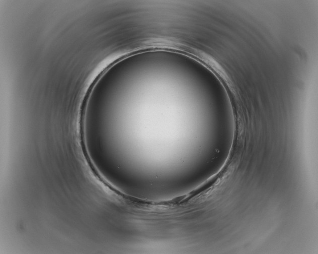 X0000113531339200909181127