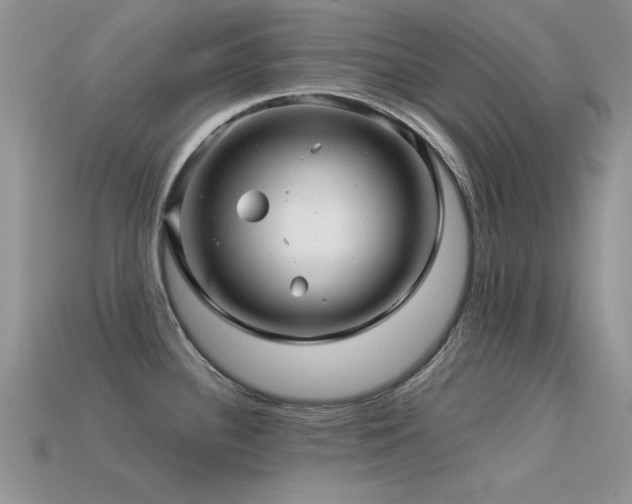 X0000113531340200909181127