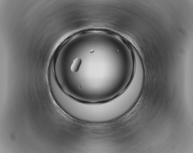X0000113531342200909181127
