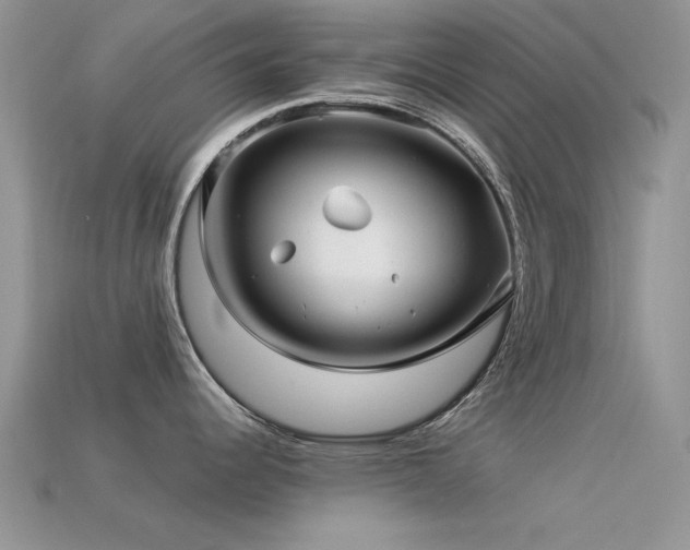 X0000113531344200909181127