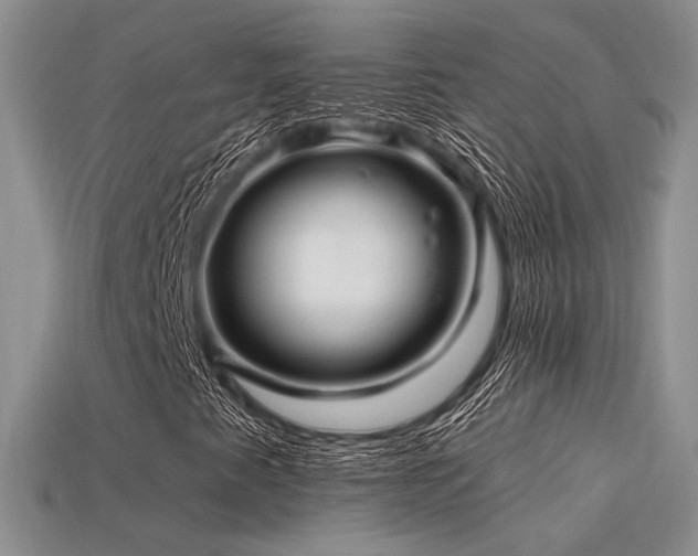 X0000113531345200909181126