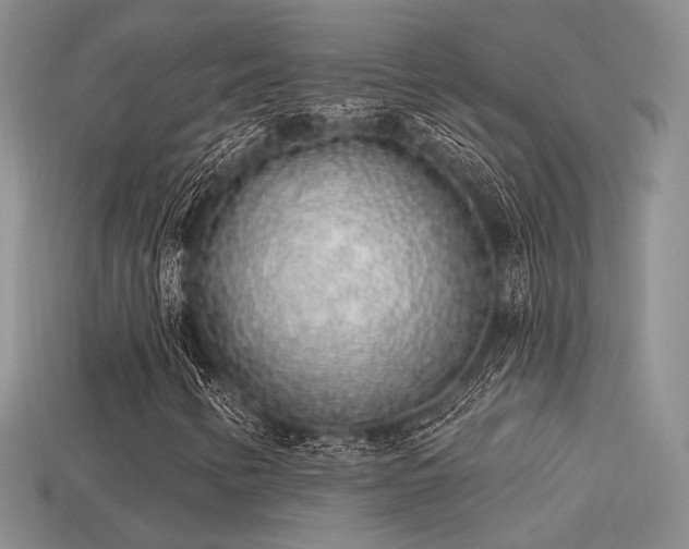 X0000113531346200909181126