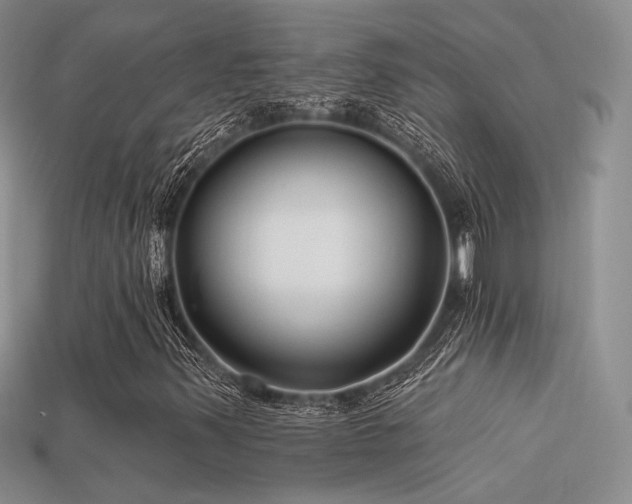 X0000113531347200909181126