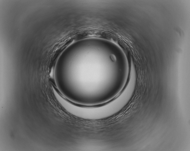 X0000113531349200909181126