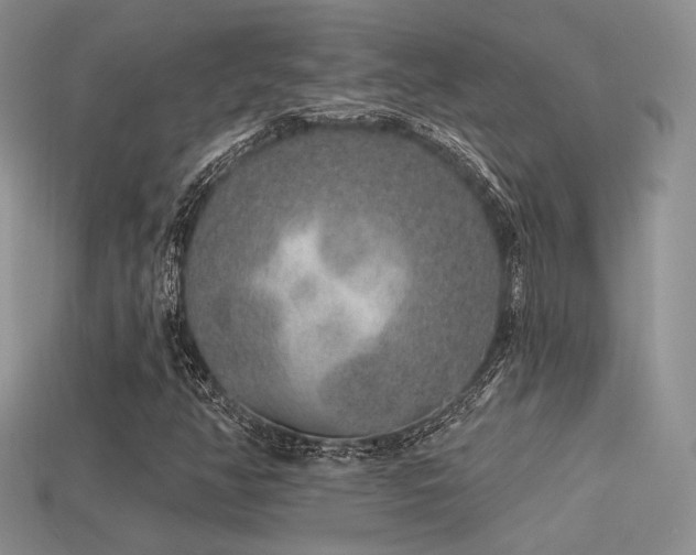 X0000113531350200909181126