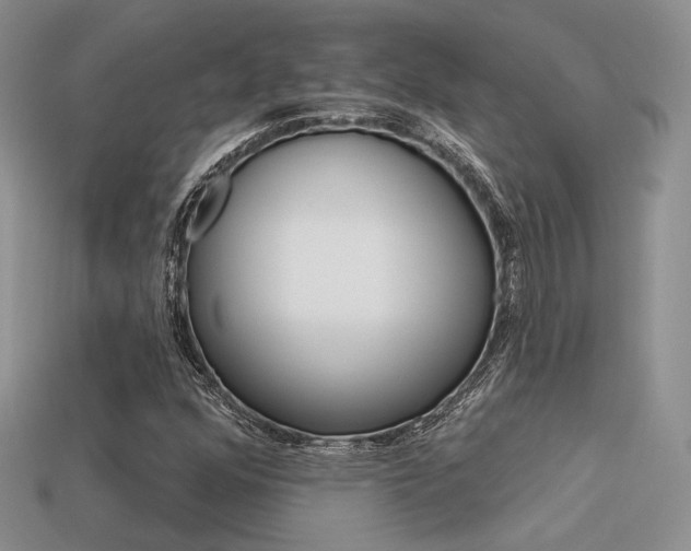X0000113531352200909181126