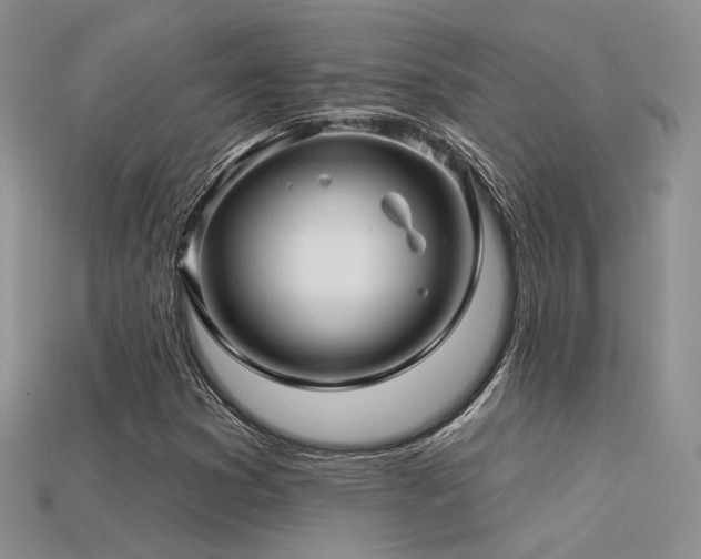 X0000113531353200909181126