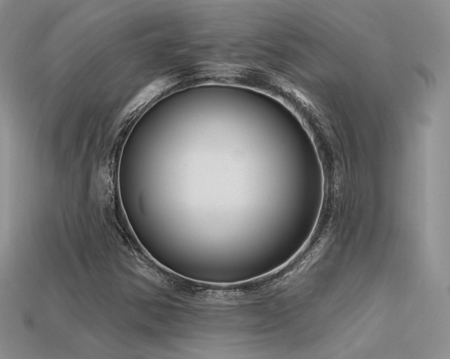 X0000113531354200909181126