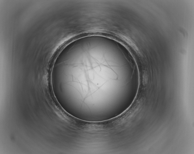 X0000113531356200909181126