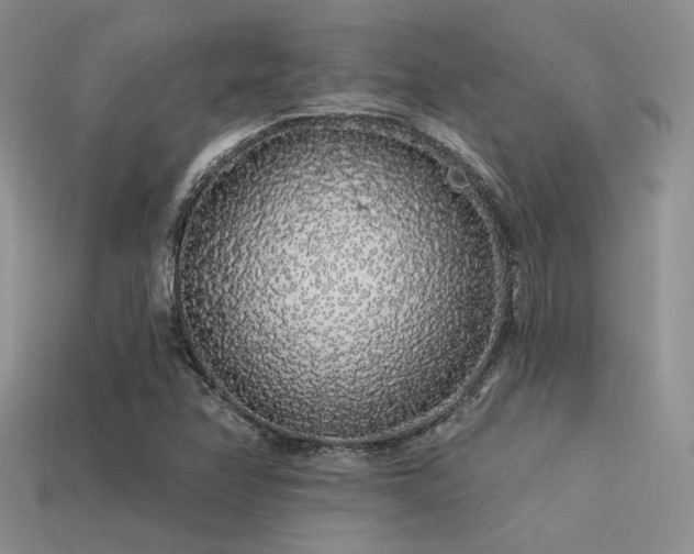 X0000113531358200909181126