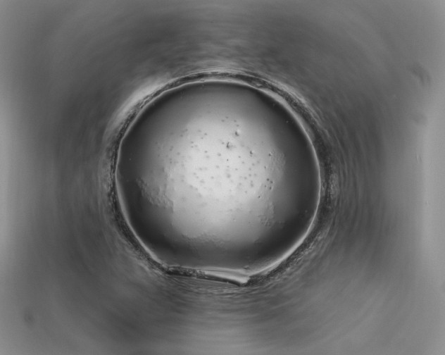 X0000113531359200909181126