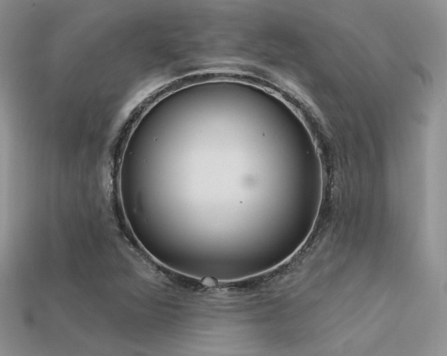 X0000113531360200909181126