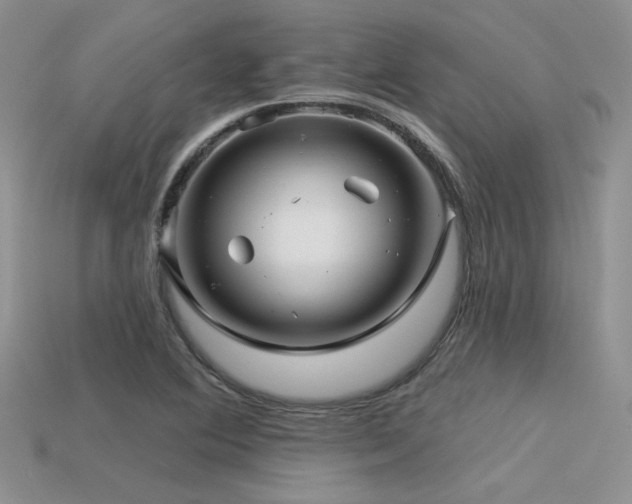 X0000113531364200909181126