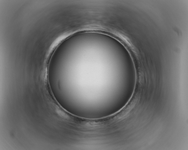 X0000113531366200909181126