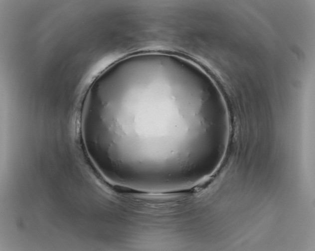 X0000113531367200909181126